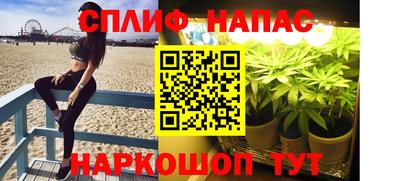 шишки Гусь-Хрустальный