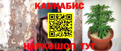шишки Гусь-Хрустальный
